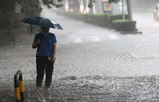 强降雨来了！济南“雨雨雨”模式还要持续，今起三天雷阵雨频繁