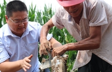 汛后救灾，临沂这位社区党委副书记四天没回家