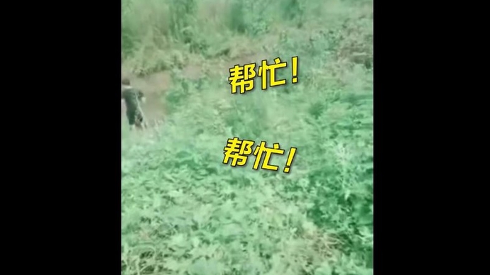 凡人歌|57秒！临沂一轿车倒扣水中，一群英雄翻车救人！