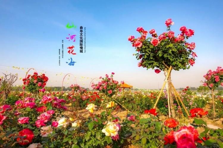 9月10日至12日，曲阜仙河花海教师免费入园游玩