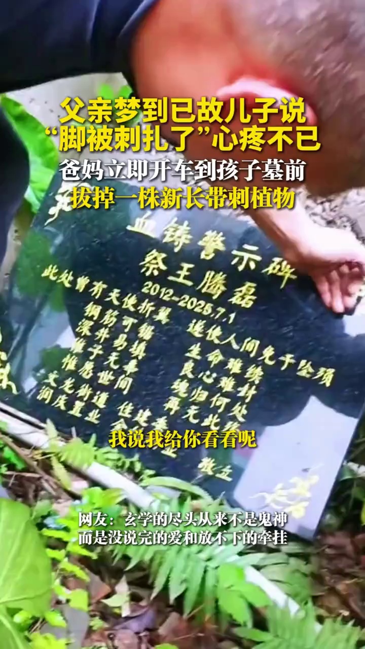 父亲梦到已故儿子说“脚被刺扎了”心疼不已，爸妈立即开车到孩子墓前，拔掉一株新长带刺植物