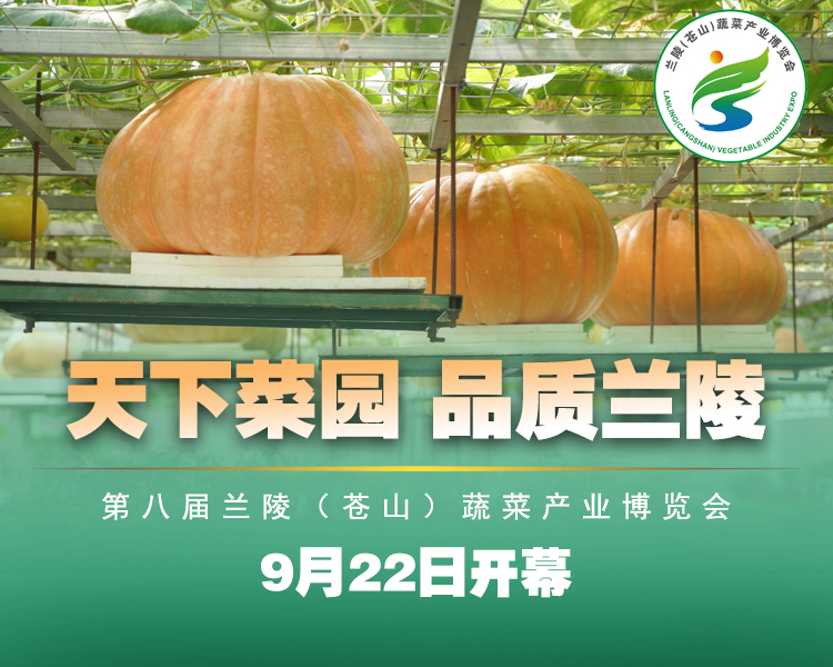 天下菜园、品质兰陵，兰陵菜博会9月22日开幕