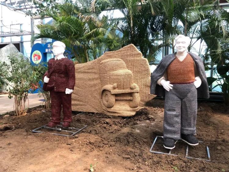 听风吹麦浪，看兰陵国家农业公园秋色