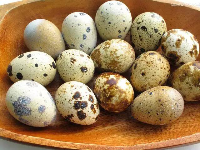 鹌鹑蛋也是一味药长期这样吃好处太多了