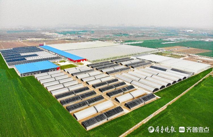 亚洲最大！兰陵这个农业产业园环控系统国际领先