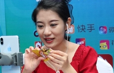 兰陵蔬菜产业博览会带来的实惠，辞职返乡的他收入翻三番