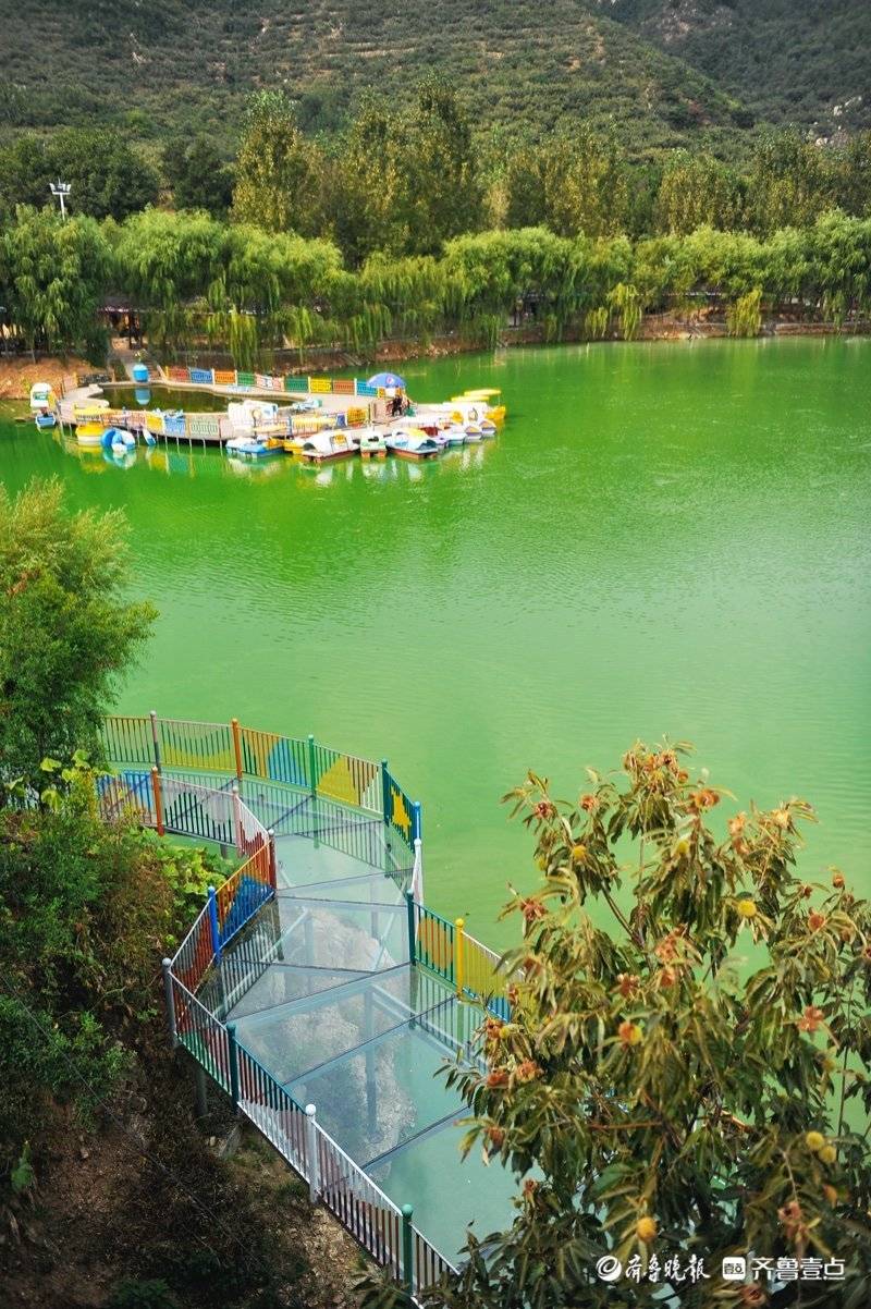 这里有茶园民宿和玻璃栈道来济南马套将军山度个假吧