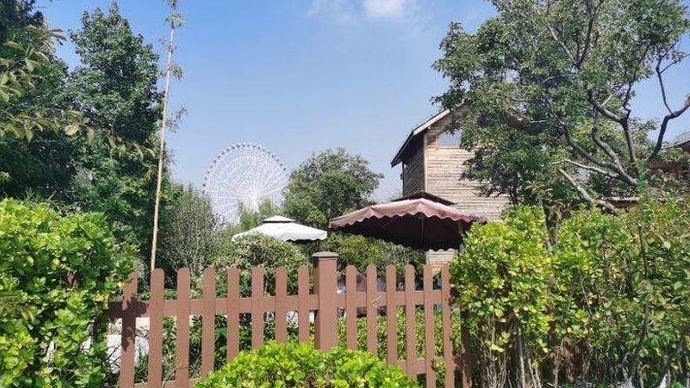 果然视频|住泰山天颐湖木屋酒店，赏秋水共长天一色