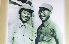 直播实录④|陈泽华：战争与女性 ——革命战争中山东妇女的贡献