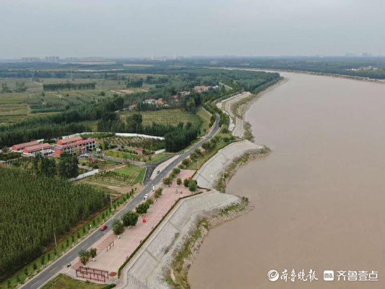 河堤变长廊,能看黄河拍落日…齐河融"河"发展生态产业全面开花