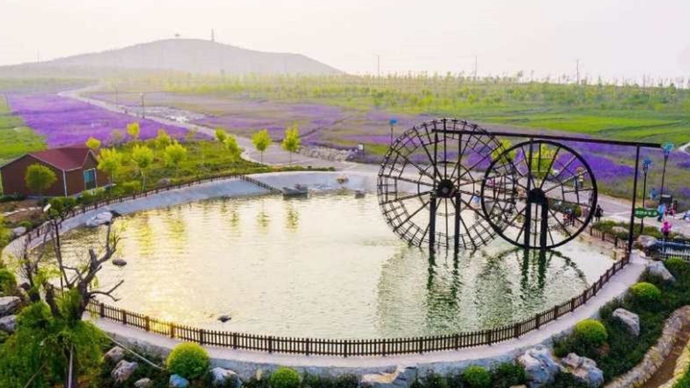 壹直播|对酒当歌，人生几何！记者带你去齐鲁酒地，品景芝酒文化