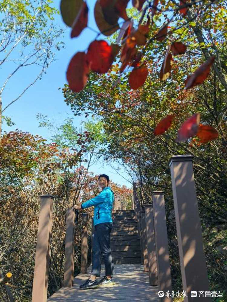 这里的红叶已经艳红了！来西营积米峪赏红叶吧