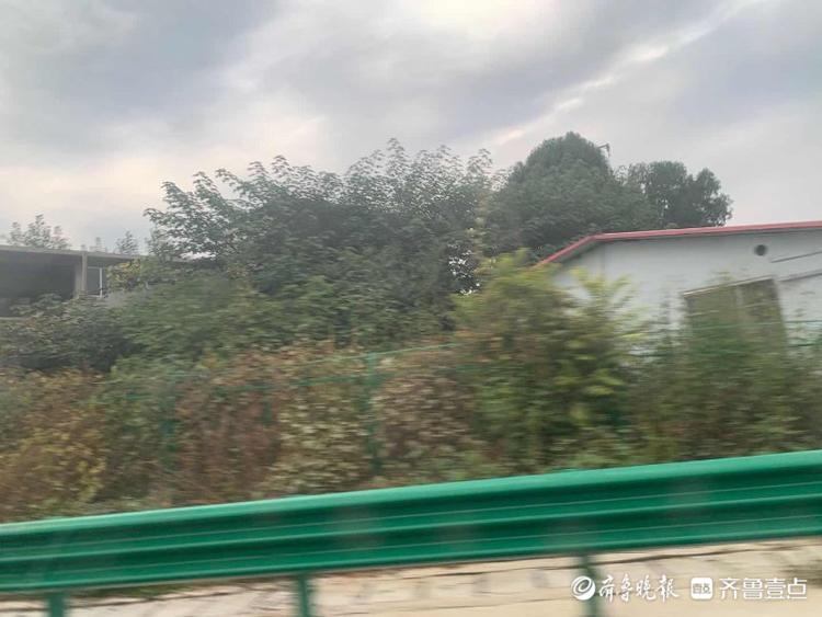 93张图预先探营！即将通车的“山东最美高速”济泰高速