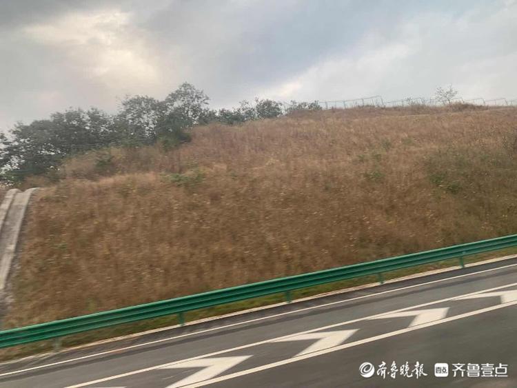 93张图预先探营！即将通车的“山东最美高速”济泰高速