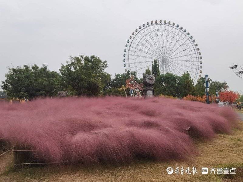 山水一脉 济泰同城丨融媒体创意营走进泰山天颐湖景区
