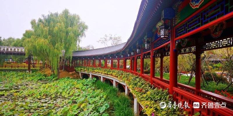 山水一脉 济泰同城丨泰山脚下崛起高铁游“新坐标”