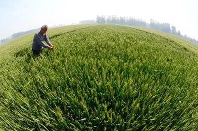 天下泉城|济南这24个村居将被征收！涉及天桥、章丘等四个区