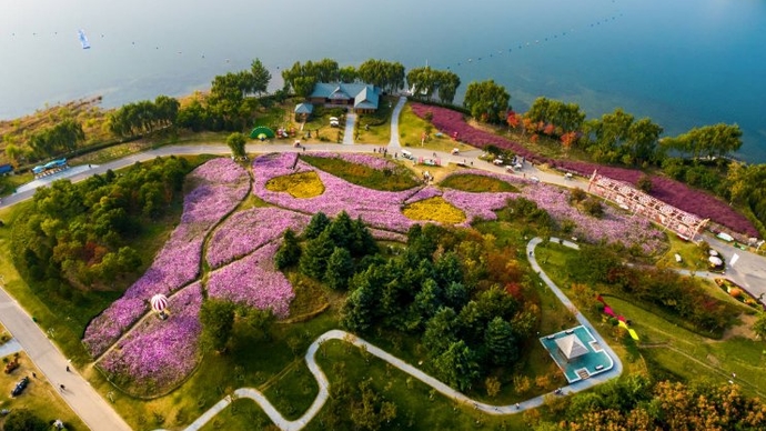 济泰直播|济泰高速跑来首批游客！齐鲁晚报“壹粉”畅游泰山花海