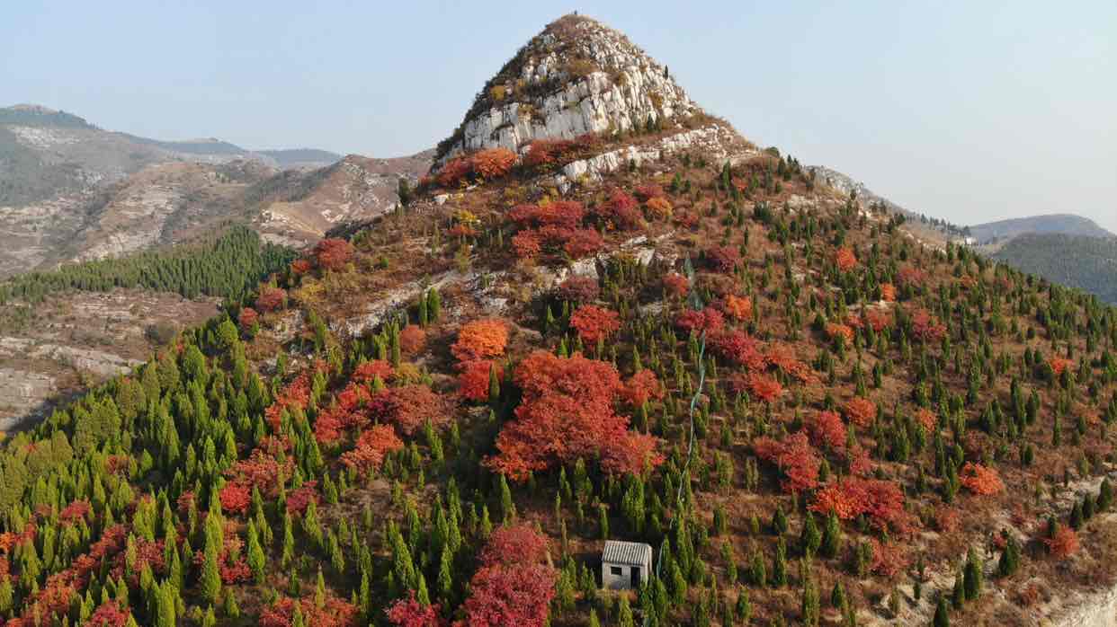 济南版五连发夹弯"秋名山",秋叶红了醉泉城