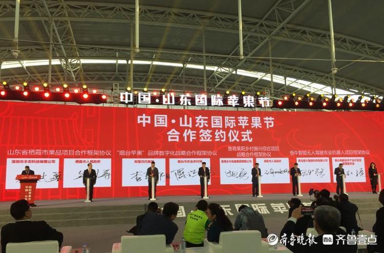 19个项目集中签约，助力烟台苹果高质量发展