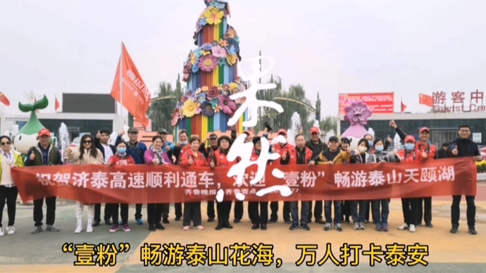 果然视频丨“壹粉”畅游泰山花海，万人打卡泰安