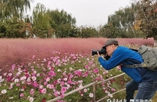 “济泰高速跑来首批游客”，齐鲁“壹粉”畅游泰山花海