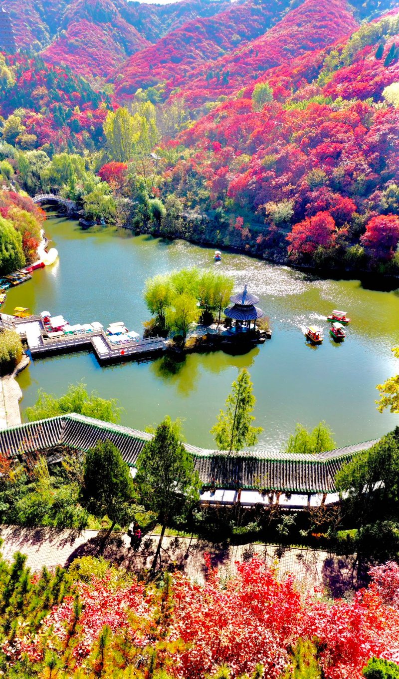 秋天的美好,藏在济南红叶谷里