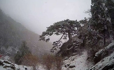 泰山下雪啦！"初雪"比往年晚些，多图带你看雪景