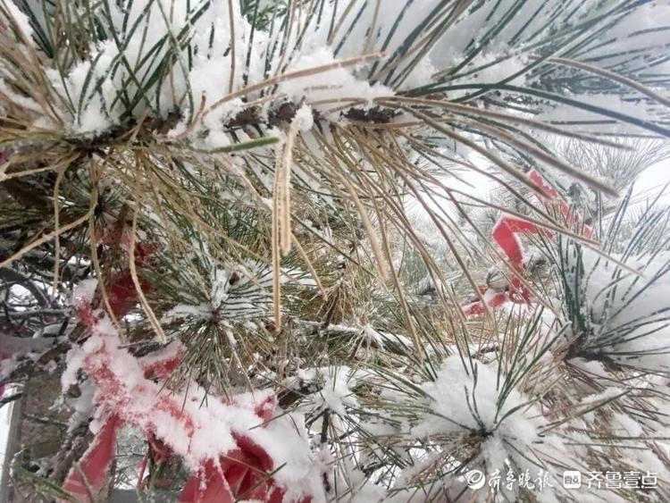 沂蒙最高峰飘起了雪花，沂蒙山龟蒙景区迎来今冬第一场雪