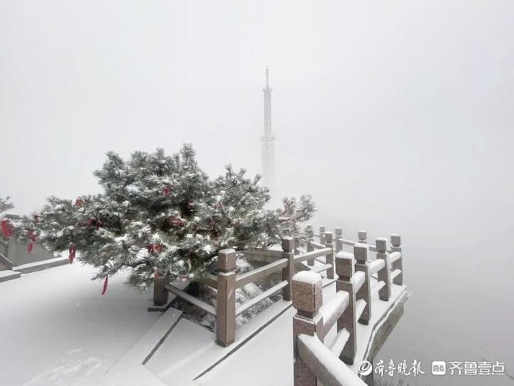沂蒙最高峰飘起了雪花，沂蒙山龟蒙景区迎来今冬第一场雪