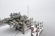 热闻区｜山东今冬首场降雪到货！济南泰安临沂等地已开下