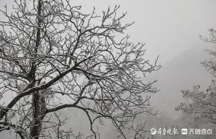 今冬济南首场降雪已抵达！九如山、跑马岭等景区银装素裹