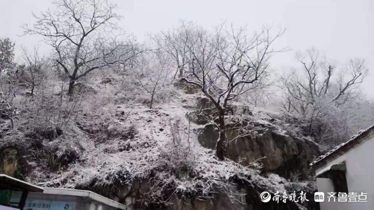 济南初雪如约而至！快来查收南部山区雪景图