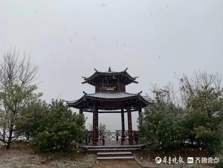 济南初雪如约而至！快来查收南部山区雪景图