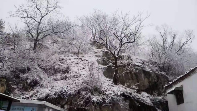 果然视频|济南初雪来了！快来看看雪后的南部山区