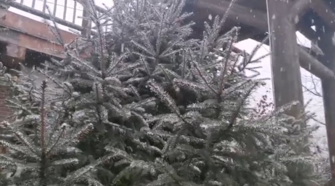 果然视频｜第一场雪降临济南部山区，银装素裹如仙境