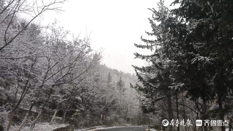 今冬首雪降临，济南南山美若仙境