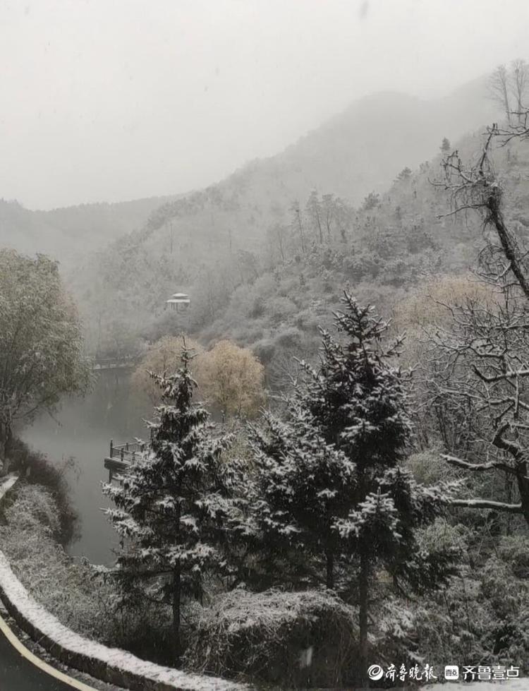 今冬首雪降临，济南南山美若仙境