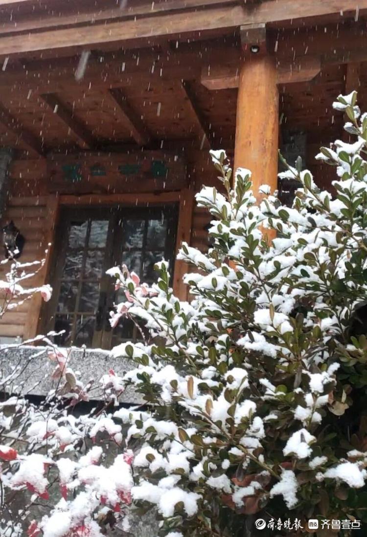 今冬首雪降临，济南南山美若仙境