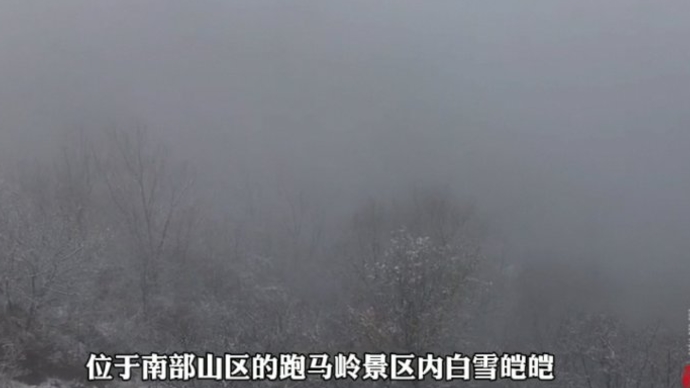 果然视频|初雪来啦！济南跑马岭景区白雪皑皑