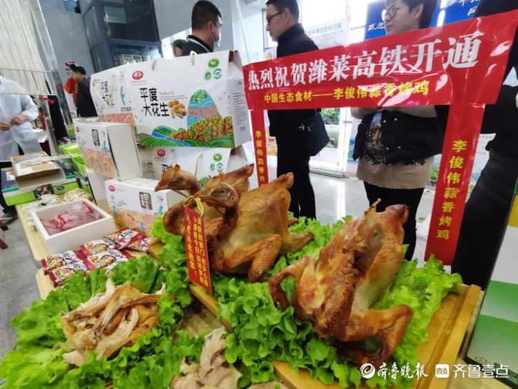 终于盼“莱”了！潍莱高铁通车首日，平度站开启“人从众”模式