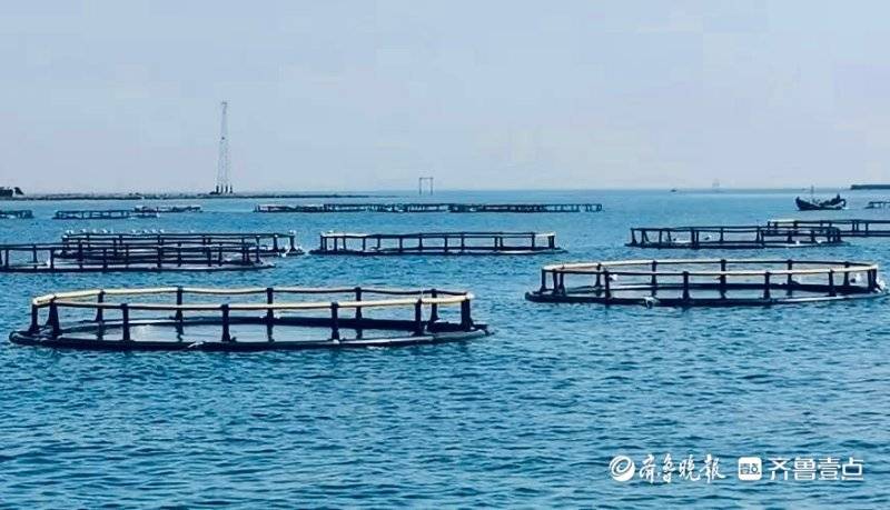 青岛鼓励打造海洋牧场综合体产业融合发展培育旅游打卡地