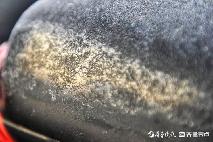 天有多冷？一夜之间济南绿化带披白霜，远看如下雪