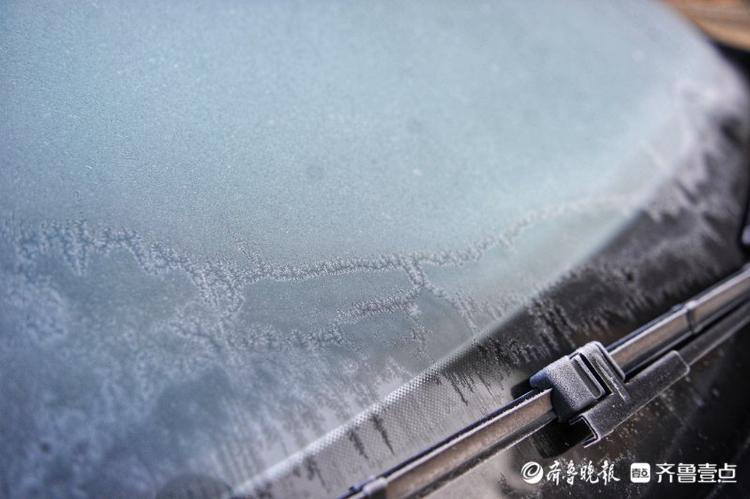 天有多冷？一夜之间济南绿化带披白霜，远看如下雪