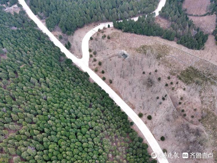 情报站|航拍济南佛慧山，山路蜿蜒深邃，形态万千！