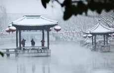 济南下雪啦！又是这里……山东多市今天有明显降雪！最低-6℃