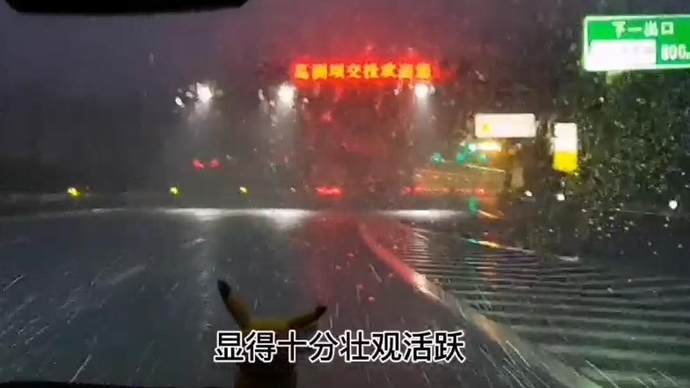 果然视频|纷纷扬扬的大雪来了！济南的第一场雪很猛