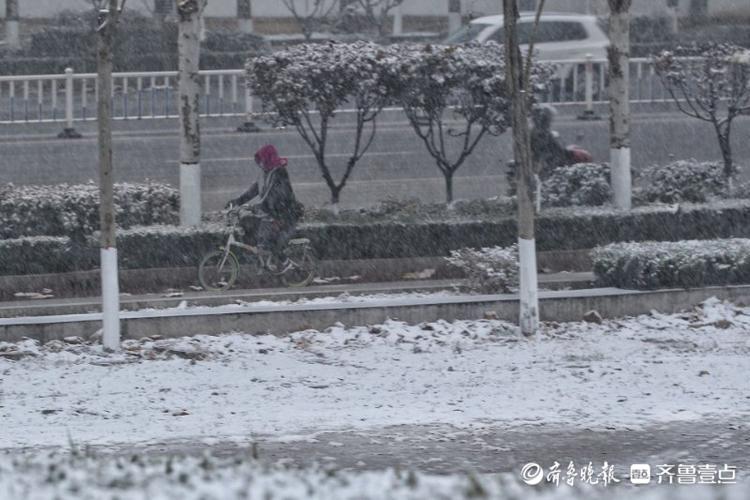 来济南钢城区看雪！银装素裹场面有点壮观