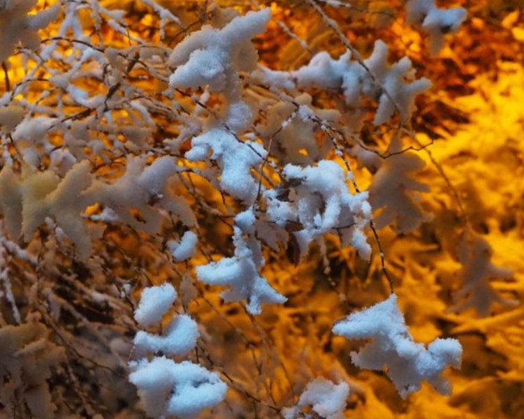 据省气象台预报，12月1日，山东雨雪范围明显扩展，鲁西北、鲁中和半岛地区都将出现小雨雪天气，德州、济南、泰安、潍坊、淄博、滨州等市有雪！