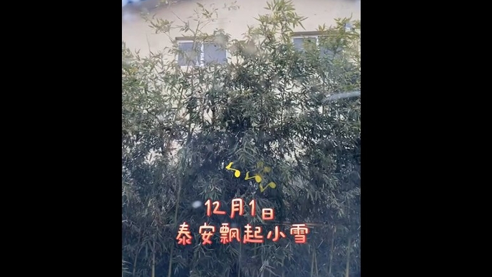 果然视频|泰安下起小雪，“入口即化“
